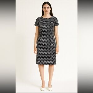 Calvin Klein Black and White Midi Dress